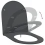 Asiento de inodoro que se cierra suave y rápido Duroplast Antracita by , Toilet and bidet seats - Ref: Foro24-42002366, Price...