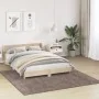 Alfombra Shaggy con respaldo de látex marrón 200x200 cm von , Teppiche - Ref: Foro24-4019796, Preis: 87,06 €, Rabatt: %