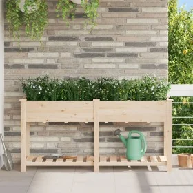 Comprar Macetero de jardín con estante 161x43x76