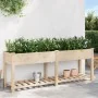 Macetero de jardín con estante 203x53x76 cm de madera maciza de abeto | Foro24.es | Tu tienda online para hogar, jardín y más Foro24.es