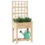 Jardín de Macetero con Enrejado y Estante 71x37x152 cm Madera Maciza de Abeto | Foro24.es | Tu tienda online para hogar, jardín y más Foro24.es