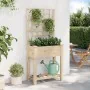 Jardín de Macetero con Enrejado y Estante 71x37x152 cm Madera Maciza de Abeto | Foro24.es | Tu tienda online para hogar, jardín y más Foro24.es