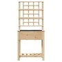 Jardín de Macetero con Enrejado y Estante 71x37x152 cm Madera Maciza de Abeto | Foro24.es | Tu tienda online para hogar, jardín y más Foro24.es