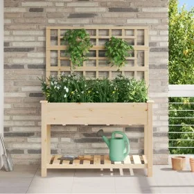 Plantador de Jardín con Enrejado y Estante 115x59x152 cm de Madera Maciza de Pino von , Töpfe und Pflanzgefäße - Ref: Foro24-...