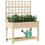 Plantador de Jardín con Enrejado y Estante 115x59x152 cm de Madera Maciza de Pino von , Töpfe und Pflanzgefäße - Ref: Foro24-...