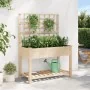 Plantador de Jardín con Enrejado y Estante 115x59x152 cm de Madera Maciza de Pino von , Töpfe und Pflanzgefäße - Ref: Foro24-...