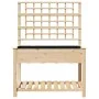Plantador de Jardín con Enrejado y Estante 115x59x152 cm de Madera Maciza de Pino von , Töpfe und Pflanzgefäße - Ref: Foro24-...