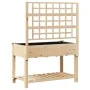 Plantador de Jardín con Enrejado y Estante 115x59x152 cm de Madera Maciza de Pino von , Töpfe und Pflanzgefäße - Ref: Foro24-...