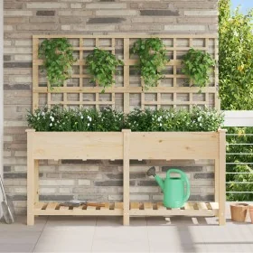Plantador de Jardín con Enrejado y Estante 161x43x152 cm Madera Maciza de Pino by , Pots and planters - Ref: Foro24-42006572,...