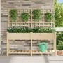 Plantador de Jardín con Enrejado y Estante 161x43x152 cm Madera Maciza de Pino de , Maceteros y jardineras - Ref: Foro24-4200...