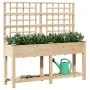 Plantador de Jardín con Enrejado y Estante 161x43x152 cm Madera Maciza de Pino de , Maceteros y jardineras - Ref: Foro24-4200...