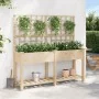 Plantador de Jardín con Enrejado y Estante 161x43x152 cm Madera Maciza de Pino de , Maceteros y jardineras - Ref: Foro24-4200...