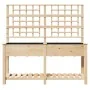 Plantador de Jardín con Enrejado y Estante 161x43x152 cm Madera Maciza de Pino de , Maceteros y jardineras - Ref: Foro24-4200...
