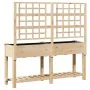 Plantador de Jardín con Enrejado y Estante 161x43x152 cm Madera Maciza de Pino de , Maceteros y jardineras - Ref: Foro24-4200...