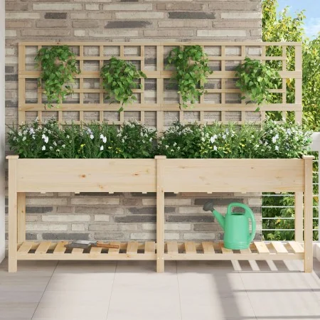 Macetero con Enrejado y Estante 203x53x152 cm de Madera Maciza de Pino | Foro24.es | Tu tienda online para hogar, jardín y más Foro24.es