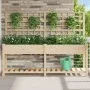 Macetero con Enrejado y Estante 203x53x152 cm de Madera Maciza de Pino | Foro24.es | Tu tienda online para hogar, jardín y más Foro24.es