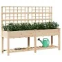 Macetero con Enrejado y Estante 203x53x152 cm de Madera Maciza de Pino | Foro24.es | Tu tienda online para hogar, jardín y más Foro24.es