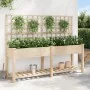 Macetero con Enrejado y Estante 203x53x152 cm de Madera Maciza de Pino | Foro24.es | Tu tienda online para hogar, jardín y más Foro24.es