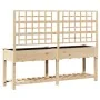 Macetero con Enrejado y Estante 203x53x152 cm de Madera Maciza de Pino | Foro24.es | Tu tienda online para hogar, jardín y más Foro24.es