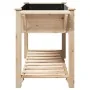 Macetero de Jardín con Estantes 155x59x76 cm de Madera Maciza de Pino by , Pots and planters - Ref: Foro24-42006575, Price: 9...