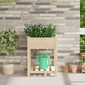 Comprar jardinera con estante 60x60x76 cm de