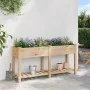 Jardín Planter de con Rejillas 161x43x76 cm Madera Sólida de Abeto | Foro24.es | Tu tienda online para hogar, jardín y más Foro24.es