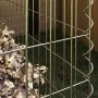 Compostador de Jardín 100x100x50 cm de Acero Galvanizado Cuadrado | Foro24.es | Tu tienda online para hogar, jardín y más Foro24.es