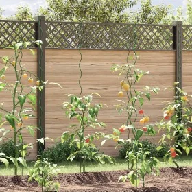 Soportes de Plantas en Espiral 5 pcs 170 cm de