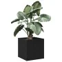 caja de jardinería en madera de roble negra 40x40x40 cm | Foro24.es | Tu tienda online para hogar, jardín y más Foro24.es
