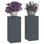 Soportes de plantas exteriores Pilar 2 pcs Antracita 24x24x55 cm Acero | Foro24.es | Tu tienda online para hogar, jardín y más Foro24.es