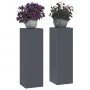 Soportes para Plantas Exteriores Pilar 2 pcs Antracita 24x24x75 cm Acero von , Topfständer - Ref: Foro24-865822, Preis: 80,92...
