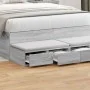 Cajones de cama Gris Sonoma 120x36,5x16,5 cm Madera elaborada | Foro24.es | Tu tienda online para hogar, jardín y más Foro24.es