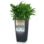 LECHUZA Macetero CUBICO Color 22 ALL-IN-ONE gris pizarra by , Pots and planters - Ref: Foro24-442069, Price: 26,54 €, Discoun...