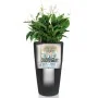 LECHUZA Macetero Rondo 40 ALL-IN-ONE carbón metalizado 15743 by , Pots and planters - Ref: Foro24-421461, Price: 141,11 €, Di...