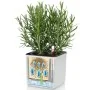 LECHUZA Jardineras 3 unidades Green Wall Home Kit blanco von , Töpfe und Pflanzgefäße - Ref: Foro24-425619, Preis: 63,92 €, R...