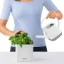 LECHUZA Jardineras 3 unidades Green Wall Home Kit blanco von , Töpfe und Pflanzgefäße - Ref: Foro24-425619, Preis: 63,92 €, R...