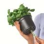 LECHUZA Jardineras 3 unidades Green Wall Home Kit blanco von , Töpfe und Pflanzgefäße - Ref: Foro24-425619, Preis: 63,92 €, R...