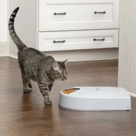 PetSafe Comedero para mascotas 5 comidas Eatwell