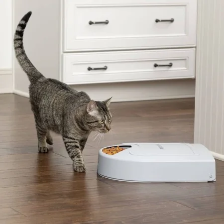 PetSafe Comedero para mascotas 5 comidas Eatwell con temporizador gris | Foro24.es | Tu tienda online para hogar, jardín y más Foro24.es