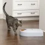 PetSafe Comedero para mascotas 5 comidas Eatwell con temporizador gris | Foro24.es | Tu tienda online para hogar, jardín y más Foro24.es