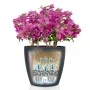 LECHUZA Macetero Classico Color 43 ALL-IN-ONE gris pizarra 13224 by , Pots and planters - Ref: Foro24-421438, Price: 52,10 €,...