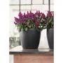 LECHUZA Macetero Classico Color 43 ALL-IN-ONE gris pizarra 13224 by , Pots and planters - Ref: Foro24-421438, Price: 52,10 €,...