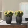 LECHUZA Macetero Classico Color 43 ALL-IN-ONE gris pizarra 13224 by , Pots and planters - Ref: Foro24-421438, Price: 52,10 €,...