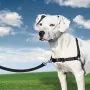 PetSafe Arnés para perros Easy Walk negro M | Foro24.es | Tu tienda online para hogar, jardín y más Foro24.es