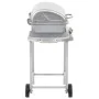 Barbacoa portátil de gas con 2 zonas plateada acero inoxidable von , Grillen - Ref: Foro24-276149, Preis: 150,80 €, Rabatt: -5%%