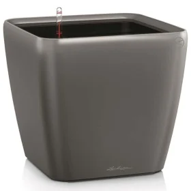 LECHUZA Macetero QUADRO LS 35 ALL-IN-ONE color carbón 16163 by , Pots and planters - Ref: Foro24-421479, Price: 50,90 €, Disc...