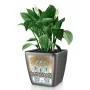 LECHUZA Macetero QUADRO LS 35 ALL-IN-ONE color carbón 16163 by , Pots and planters - Ref: Foro24-421479, Price: 50,90 €, Disc...