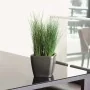 LECHUZA Macetero QUADRO LS 35 ALL-IN-ONE color carbón 16163 by , Pots and planters - Ref: Foro24-421479, Price: 50,90 €, Disc...