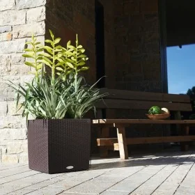 LECHUZA Macetero CUBE Cottage 40 ALL-IN-ONE color moca by , Pots and planters - Ref: Foro24-442086, Price: 72,49 €, Discount:...