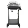 Barbacoa portátil de gas con 6 zonas plateada acero inoxidable von , Grillen - Ref: Foro24-276154, Preis: 319,67 €, Rabatt: -5%%